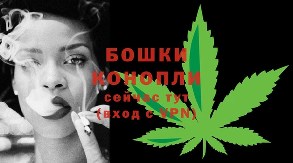 2c-b Богданович